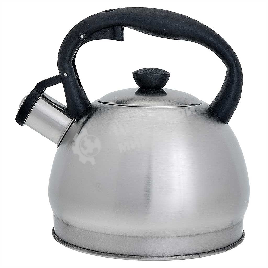 Чайник для плиты со свистком WEBBER BE-0578 2 л