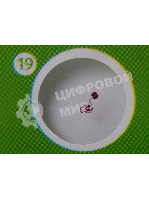 Набор микропрепаратов Levenhuk LABZZ CP24, существа и растения (72870)