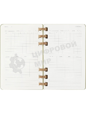Еженедельник Moleskine ACADEMIC SPIRAL DHSPK5212AMWH3 Large 150х210 мм 200 стр. кремовые страницы спираль киви
