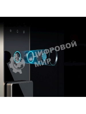 Сейф Deli ET596 600x380x360мм электронный/ключевой/биометрический трейзер