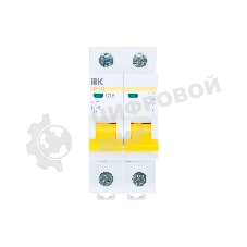 Выключатель автоматический модульный 2п C 16А 4.5кА ВА47-29 IEK MVA20-2-016-C