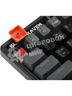 Клавиатура проводная Defender Black Raven GK-417, USB, черный