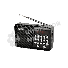 Радиоприемник PERFEO (PF_D0566) PALM, черный