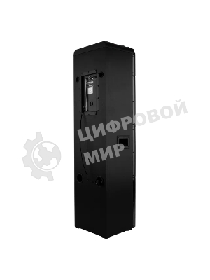 Колонка ELTRONIC 10