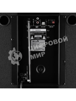 Колонка ELTRONIC 10