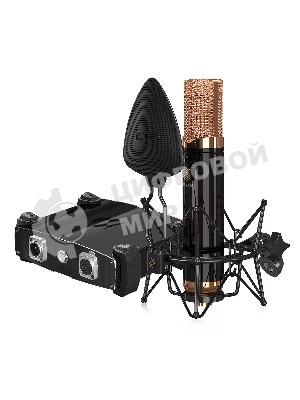 Профессиональный студийный ламповый микрофон Icon Space 251