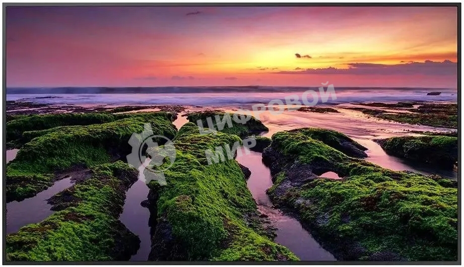 Панель Samsung QB75B черный, 75 