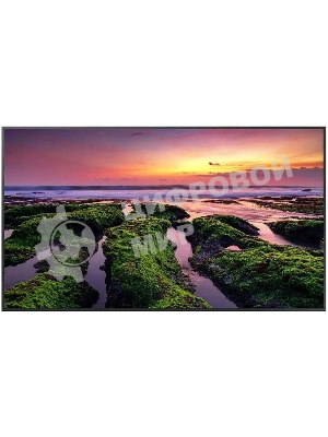 Панель Samsung QB75B черный, 75 