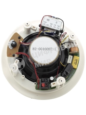 Пара двухполосных громкоговорителей, предназначенных для установки на потолке, с трансформатором; 6,5