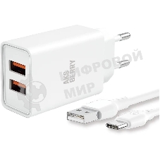 Зарядное устройство Aksberry T38 2 USB 2.4A + Type-C белый
