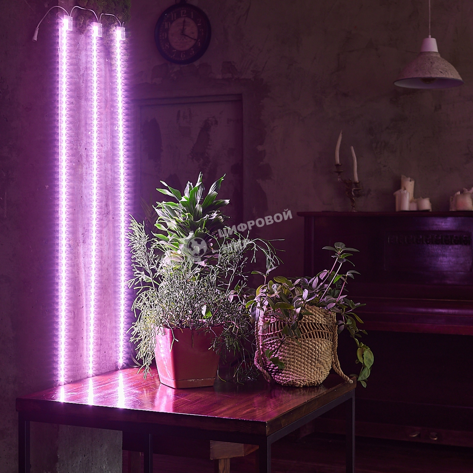 Светильник для растений светодиодный Uniel линейный ULY-P91-20W/SPFR/K IP65 AC220V CLEAR KIT03 1200мм. Спектр для фотосинтеза. В составе набора из 3-х штук.