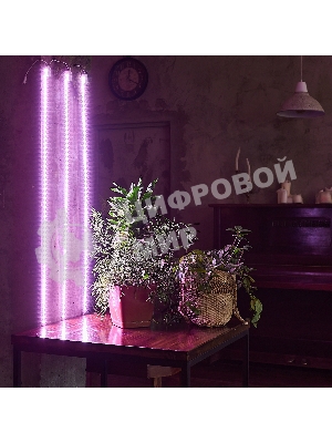 Светильник для растений светодиодный Uniel линейный ULY-P91-20W/SPFR/K IP65 AC220V CLEAR KIT03 1200мм. Спектр для фотосинтеза. В составе набора из 3-х штук.