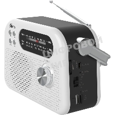 Радиоприемник Ritmix RPR-045 белый