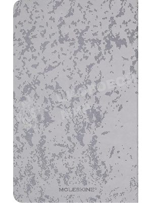 Блокнот Moleskine CAHIER NASA-INSPIRED SKCAHLP7063S2 Large 130х210 мм 120 стр. нелинованный мягкая обложка серебристый/черный Moon (2 шт)