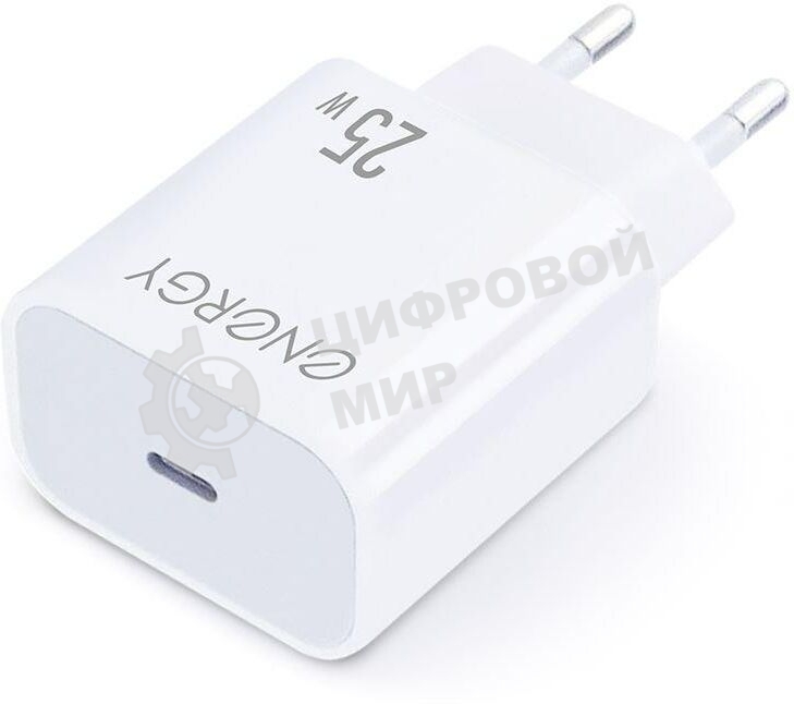 Сетевое зарядное устройство ENERGY ET-41 PRO (109939)