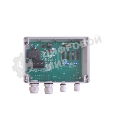 Терморегулятор Rexant TermoStat Roof 40A IP65 51-0843