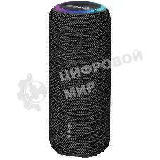 Портативная колонка AIWA PAS-H200 черный