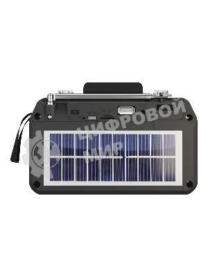 Радиоприемник SOUNDMAX SM-RD2114UB черный