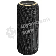 Портативная колонка AIWA PAS-H200 черный