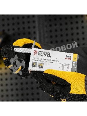 Скобы Denzel 21GA для пнев. степл., 8мм, шир. - 0,95мм, тол. - 0,6мм, шир. скобы - 12,8 мм, 5000 шт