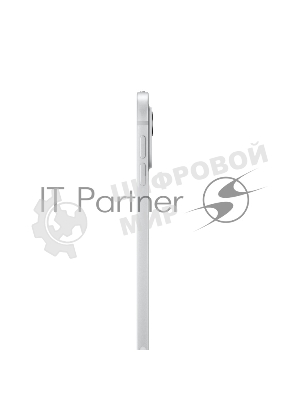 Планшет Apple iPad Pro 2024 A2837 11