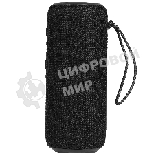 Колонка беспроводная AIWA PAS-H300 черный