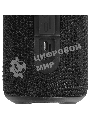 Колонка беспроводная AIWA PAS-H300 черный