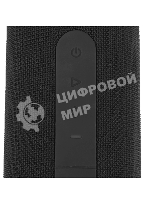 Колонка беспроводная AIWA PAS-H300 черный