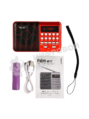 Радиоприемник PERFEO (PF_D0565) PALM, красный