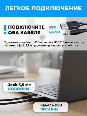 Портативная колонка Ritmix SP-3010 черный