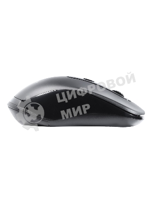 Мышь беспроводная Smartbuy (SBM-282AG-K) 282AG черный