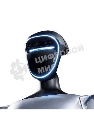 Программно-аппаратный комплекс робот Unitree G1 версия Basic