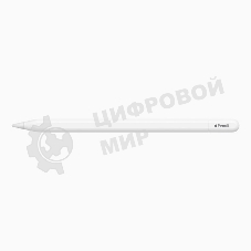Перо-карандаш Apple Pencil (USB-C)