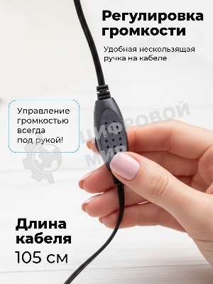 Портативная колонка Ritmix SP-3010 черный