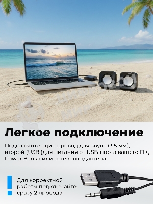 Портативная колонка Ritmix SP-3010 черный