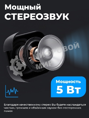 Портативная колонка Ritmix SP-3010 черный