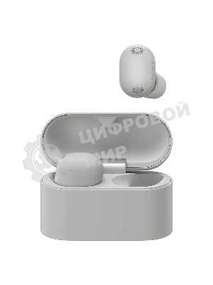 Наушники Sony WF-1000XM6/SС серебро