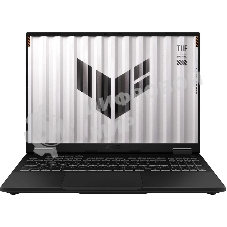 Ноутбук Asus TUF Gaming F16 FX608JHI-TU216/16