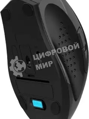 Мышь A4Tech Fstyler FG55S Plus серый оптическая 1200dpi silent беспров. USB