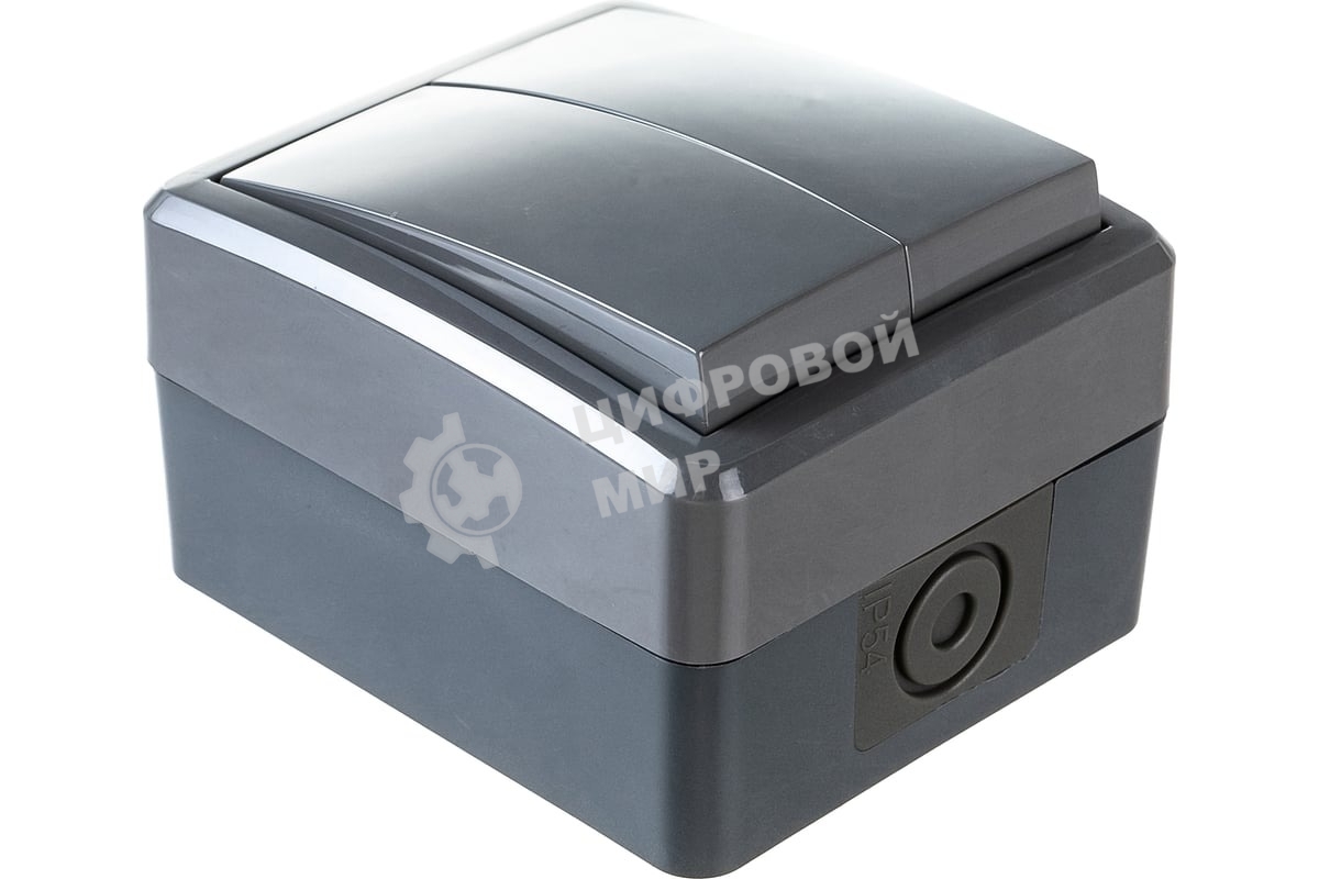 Выключатель двойной ЭРА IP54, 10АХ-250В, 11-1404-03, ОУ, Эксперт, серый (16/160/2560)