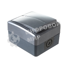 Выключатель двойной ЭРА IP54, 10АХ-250В, 11-1404-03, ОУ, Эксперт, серый (16/160/2560)