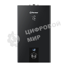 Газовая колонка Thermex T 20 D черный