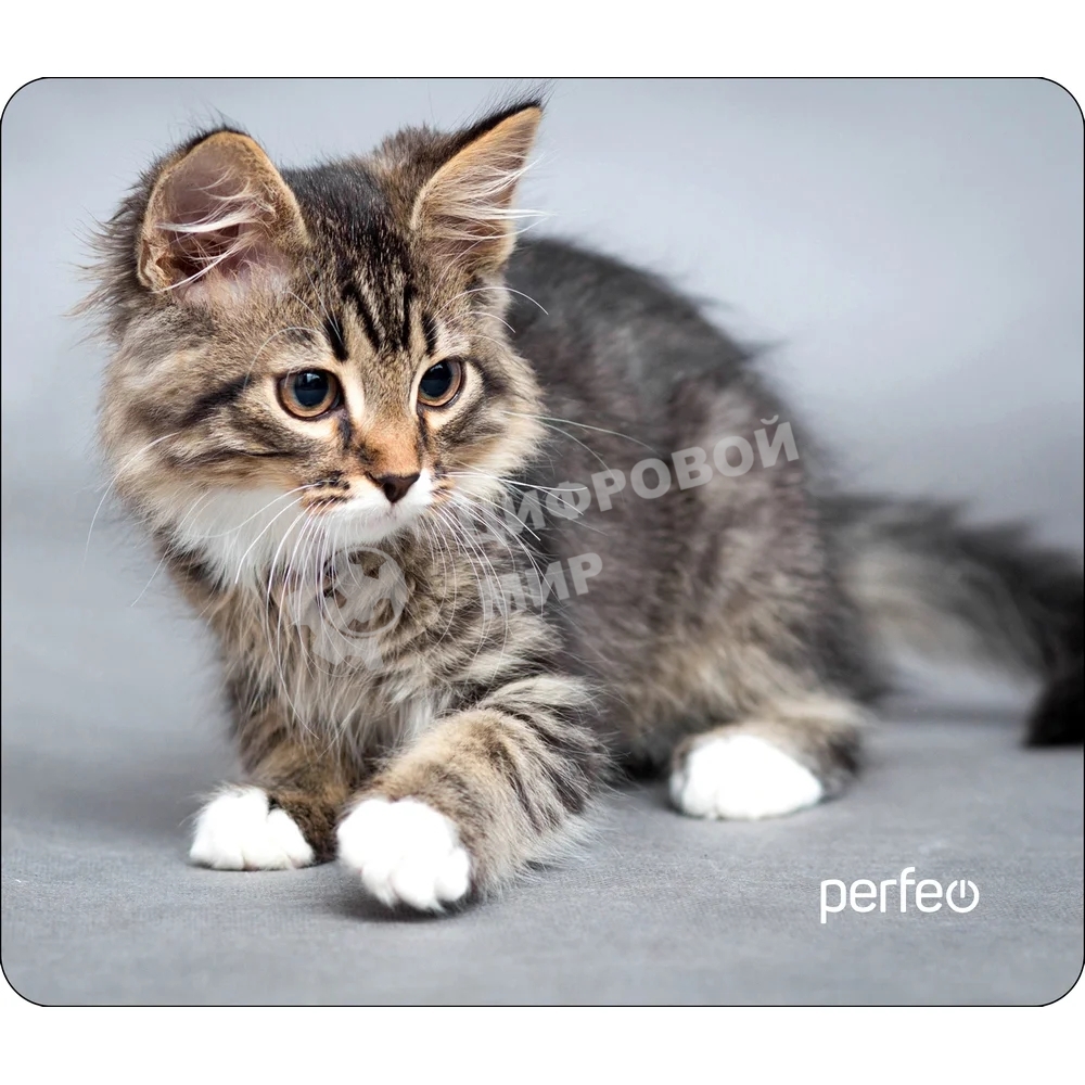 Коврик для мыши PERFEO PF_D0661 