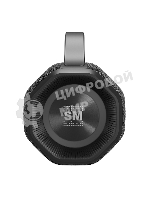 Портативная колонка SOUNDMAX SM-PS5033B серый