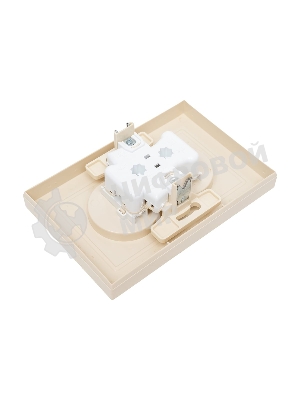 Розетка 2-м СП AtlasDesign 16А IP20 без заземл. защ. шторки в сборе беж. SE ATN000222