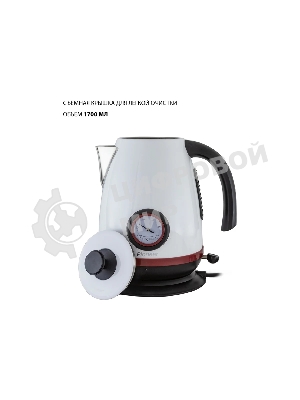 Чайник электрический Pioneer KE570M