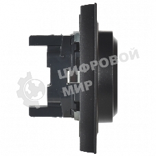 Розетка 2-местная IEK BRITE РС12-3-БрЧ с заземлением, без защитных шторок, 16А в сборе, черный