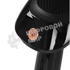 Отпариватель BQ SG1006H черный/золотистый, 1700 Вт, 25 г/мин, 280 мл