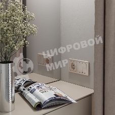 Выключатель двухклавишный проходной WERKEL (шампань рифленый) W1122010