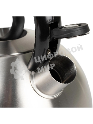 Чайник металлический Rondell 0237-RD-01, 2.4 л, стальной